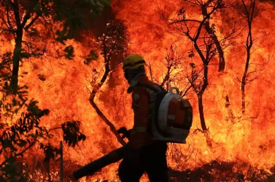 Monitoramento mostra que 99% dos incêndios são por ação humana