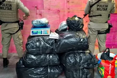 Polícia Militar apreende 100 quilos de maconha em Feira de Santana