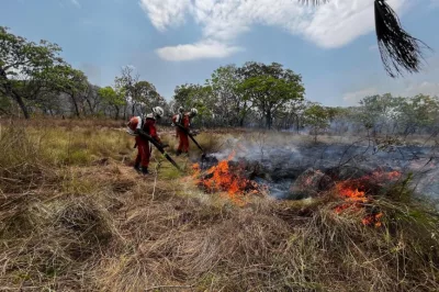Operação Florestal do Corpo de Bombeiros debela cerca de 960 incêndios no estado