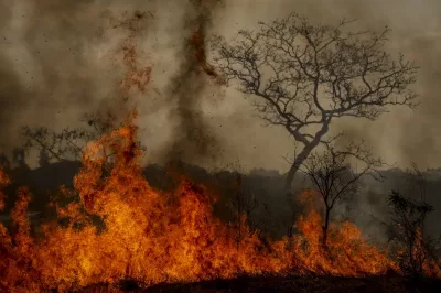 Desastres climáticos aumentaram 250% nos últimos quatro anos no país