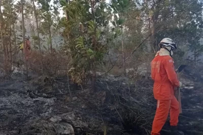 Bombeiros combatem incêndio em Massarandupió; chamas foram controladas