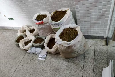 Operação combate ao tráfico de drogas em Campo Formoso e Antônio Gonçalves