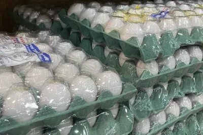 Preço do ovo sobe quase 20% em março; veja quando pode recuar