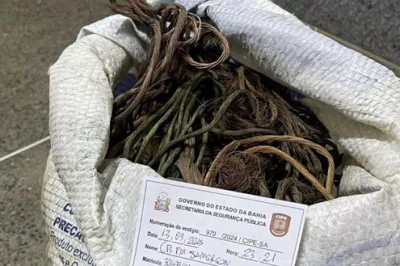 Homem é preso após furto de fios em Irecê