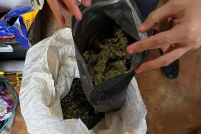 Operação apreende mais de meia tonelada de maconha em cidade baiana