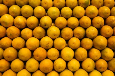 Município de Rio Real pode se tornar capital estadual da laranja após projeto na AL-BA