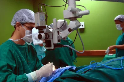 Câncer de intestino que vitimou Preta Gil é o 3º mais comum no país