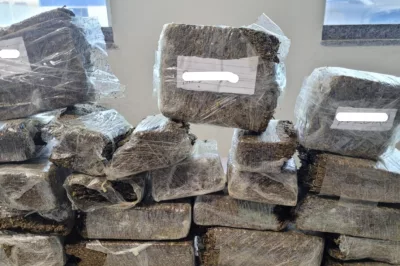 Polícia Civil apreende 13 kg de maconha em área de mata em Barra do Choça