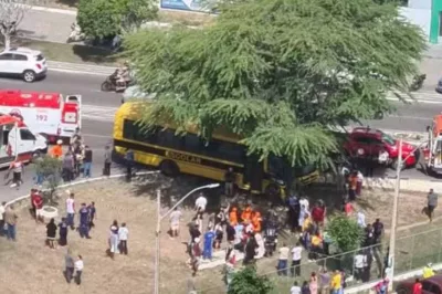 Ônibus escolar bate em árvore e fere dez em Paulo Afonso