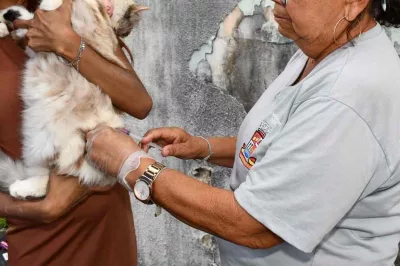Campanha de vacinação antirrábica em Alagoinhas segue até 30 de setembro