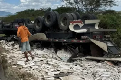 Motorista perde controle de carreta após ataque de abelhas e veículo tomba na Bahia