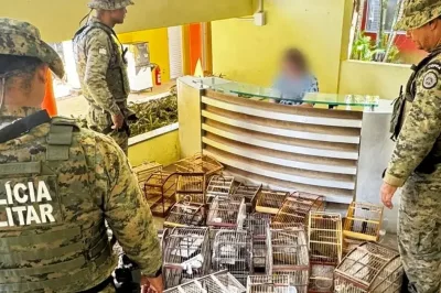 Polícia ambiental apreende mais de 27 aves silvestres no Recôncavo baiano
