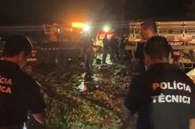Três pessoas morrem após colisão entre carro e caminhão na BR-116 Sul em Feira de Santana