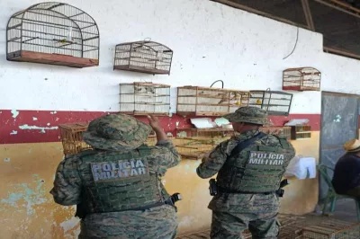 PM resgata 77 aves silvestres em Candeias
