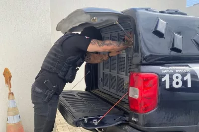 Polícia Civil prende homem suspeito de manter companheira idosa em cárcere privado e provocar sua morte em Jaguaquara