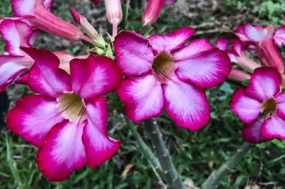 Primavera começa com ondas de calor e baixa umidade no país