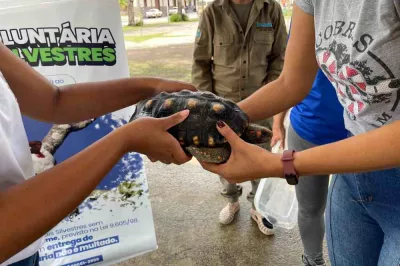 ”Animal silvestre não é pet”: campanha em Amargosa inspira novos olhares sobre a natureza