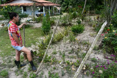 Alagoinhas inicia a emissão gratuita do Cefir/CAR para regulação ambiental e acesso de agricultores familiares ao Pronaf