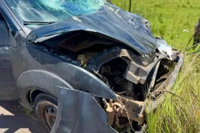 Carro colide com búfalo e destrói parte da frente na BA-505, em Mata de São João