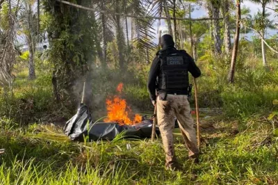 Polícia Civil desarticula acampamento de grupo criminoso na região de Valença