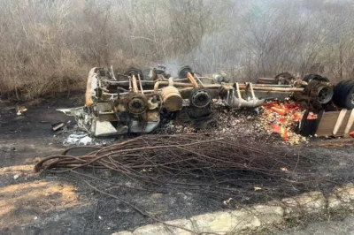 Caminhão carregado de cebolas tomba e pega fogo na BA-026; motorista foi socorrido