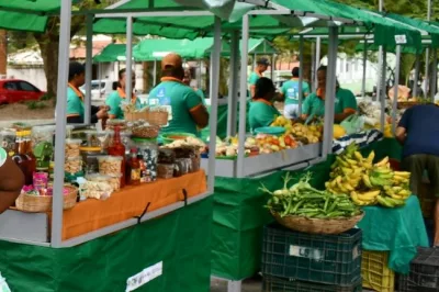 Alagoinhas: Prefeitura regulamenta feiras livres e itinerantes da agricultura familiar