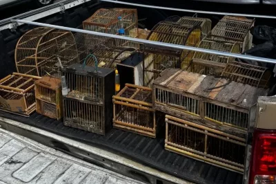 Polícia apreende mais de 50 aves comercializadas ilegalmente em Simões Filho