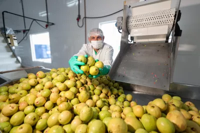 Com investimentos estruturantes, agricultura familiar amplia produção e renda nos municípios baianos
