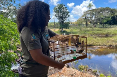 Ações de reabilitação do CETAS garante retorno de mais de 15 animais silvestres ao habitat natural