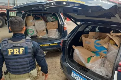 Ação apreende mais de 330 kg de drogas escondidas em caminhão que passava por Feira de Santana