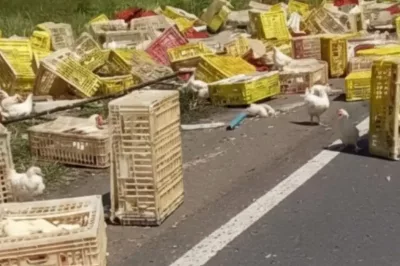 Acidente com caminhão com frangos termina em uma morte na BR-101 no Recôncavo baiano