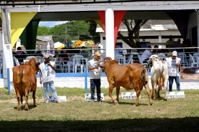 Com julgamentos ranqueados, Sealba Alagoinhas amplia o protagonismo da agropecuária nordestina