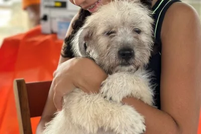 Feira de Adoção em Alagoinhas garante novos lares para animais