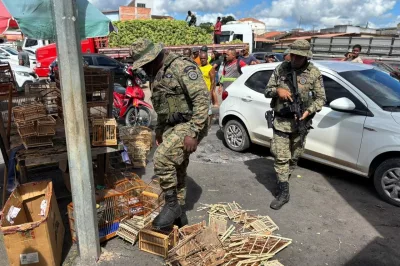 PM resgata 65 animais silvestres e conduz 5 suspeitos em Alagoinhas e Feira de Santana