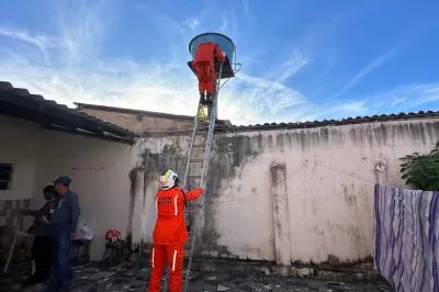 Alagoinhas: Bombeiros Militares e agentes de endemias unem forças contra o Aedes Aegypti