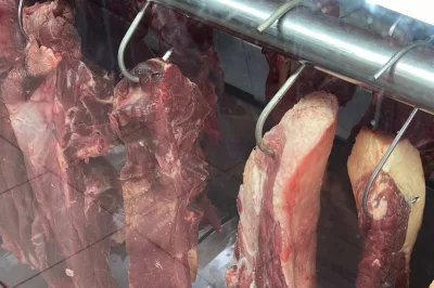 União Europeia oficializa veto à carne brasileira a partir de setembro