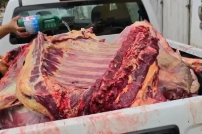 Ação conjunta apreende 800 quilos de carne clandestina em feira livre na Bahia